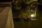 ../galleries/2015.09.26_Campus_bei_Nacht/DSC_1578_01.thumbnail.jpg