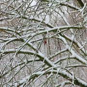 ../galleries/2017.12.03_Schnee/DSC_5570.thumbnail.jpg
