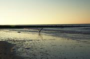 ../galleries/2018.11.16_Norderney_Tag_1/DSC_1077.thumbnail.jpg