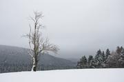 ../galleries/2019.02.03_Harz_St._Andreasberg/DSC_1786.thumbnail.jpg