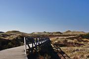 ../galleries/2019.04.16_Amrum_-_Tag_1/DSC_1913.thumbnail.jpg