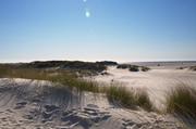 ../galleries/2019.04.16_Amrum_-_Tag_1/DSC_1929.thumbnail.jpg