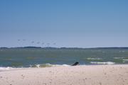 ../galleries/2019.04.17_Amrum_-_Tag_2/DSC_2104.thumbnail.jpg