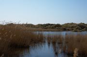 ../galleries/2019.04.19_Amrum_-_Tag_4/DSC_2600.thumbnail.jpg
