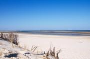 ../galleries/2019.04.22_Amrum_-_Tag_7/DSC_2918.thumbnail.jpg