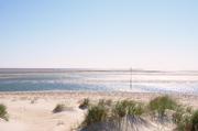 ../galleries/2019.04.22_Amrum_-_Tag_7/DSC_2968.thumbnail.jpg