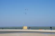 ../galleries/2019.04.23_Amrum_-_Tag_8/DSC_3030.thumbnail.jpg