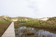 ../galleries/2019.04.24_Amrum_-_Tag_9/DSC_3199.thumbnail.jpg