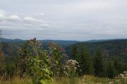 ../galleries/2019.08.17_Wanderung_St._Andreasberg_Harz/DSC_2140.thumbnail.jpg
