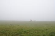 ../galleries/2019.11.10_Roronger_Berg_im_Nebel_mit_Annika/DSC_2842.thumbnail.jpg
