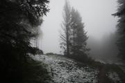 ../galleries/2019.11.16_Harz_Lonau/DSC_2903.thumbnail.jpg
