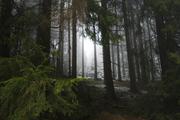 ../galleries/2019.11.16_Harz_Lonau/DSC_2907.thumbnail.jpg