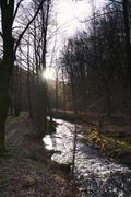 ../galleries/2020.02.15_Harz_Lonau/DSC_4241.thumbnail.jpg