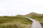 ../galleries/2020.06.19_Urlaub_Amrum_-_Tag_1/DSC_5615.thumbnail.jpg