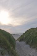 ../galleries/2020.06.19_Urlaub_Amrum_-_Tag_1/DSC_5711.thumbnail.jpg