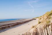 ../galleries/2020.06.23_Urlaub_Amrum_-_Tag_5/DSC_6229.thumbnail.jpg