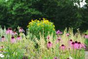 ../galleries/2020.07.11_Spaziergang_Botanischer_Garten/DSC_6933.thumbnail.jpg