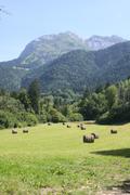 ../galleries/2021.08.13_Urlaub_Frankreich_-_Tag_14_-_Lac_de_Annecy_Wanderung/DSC_1210.thumbnail.jpg