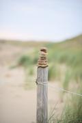 ../galleries/2022.09.07_Urlaub_Amrum_-_Tag_5_-_Strand/DSC_4378.thumbnail.jpg