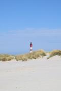 ../galleries/2022.09.10_Urlaub_Amrum_-_Tag_8_-_Dünenwanderweg_und_Sonnenuntergang/DSC_4645.thumbnail.jpg