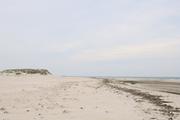 ../galleries/2022.09.12_Urlaub_Amrum_-_Tag_10_-_Spaziergang_Vogelkoje/DSC_4716.thumbnail.jpg