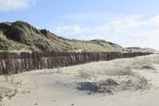 ../galleries/2022.09.16_Urlaub_Amrum_-_Tag_14_-_Nordspitze_und_Hochwasser/DSC_4837.thumbnail.jpg