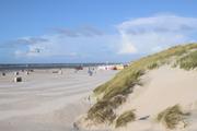 ../galleries/2022.09.16_Urlaub_Amrum_-_Tag_14_-_Nordspitze_und_Hochwasser/DSC_4839.thumbnail.jpg