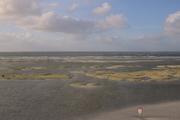 ../galleries/2022.09.16_Urlaub_Amrum_-_Tag_14_-_Nordspitze_und_Hochwasser/DSC_4849.thumbnail.jpg
