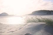 ../galleries/2022.09.16_Urlaub_Amrum_-_Tag_14_-_Nordspitze_und_Hochwasser/DSC_4860.thumbnail.jpg
