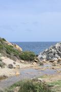 ../galleries/2022.10.20_Urlaub_Mallorca_-_Tag_6_-_Buchten_Llevant/DSC_5215.thumbnail.jpg
