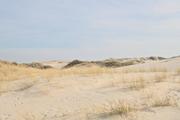 ../galleries/2024.03.14_Urlaub_Amrum_-_Tag_5_-_Nordspitze,_Nebel_und_Wriakhörnsee/DSC_1039.thumbnail.jpg
