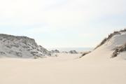 ../galleries/2024.03.14_Urlaub_Amrum_-_Tag_5_-_Nordspitze,_Nebel_und_Wriakhörnsee/DSC_1054.thumbnail.jpg