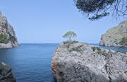 ../galleries/2024.03.24_Urlaub_Mallorca_-_Tag_1_-_Torrent_de_Pareis,_Jardines_de_Alfabia/DSC_1095.thumbnail.jpg