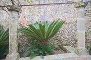 ../galleries/2024.03.24_Urlaub_Mallorca_-_Tag_1_-_Torrent_de_Pareis,_Jardines_de_Alfabia/DSC_1163.thumbnail.jpg