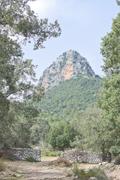 ../galleries/2024.03.25_Urlaub_Mallorca_-_Tag_2_-_Bergwanderung_im_Nebel,_Sterne_über_Soller/DSC_1201.thumbnail.jpg