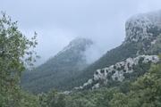 ../galleries/2024.03.25_Urlaub_Mallorca_-_Tag_2_-_Bergwanderung_im_Nebel,_Sterne_über_Soller/DSC_1258.thumbnail.jpg