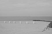 ../galleries/2026.04.13_Urlaub_Föhr_-_Tag_5_-_Anbaden,_Oldsum/DSC_6510.thumbnail.jpg