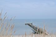 ../galleries/2026.04.13_Urlaub_Föhr_-_Tag_5_-_Anbaden,_Oldsum/DSC_6511.thumbnail.jpg